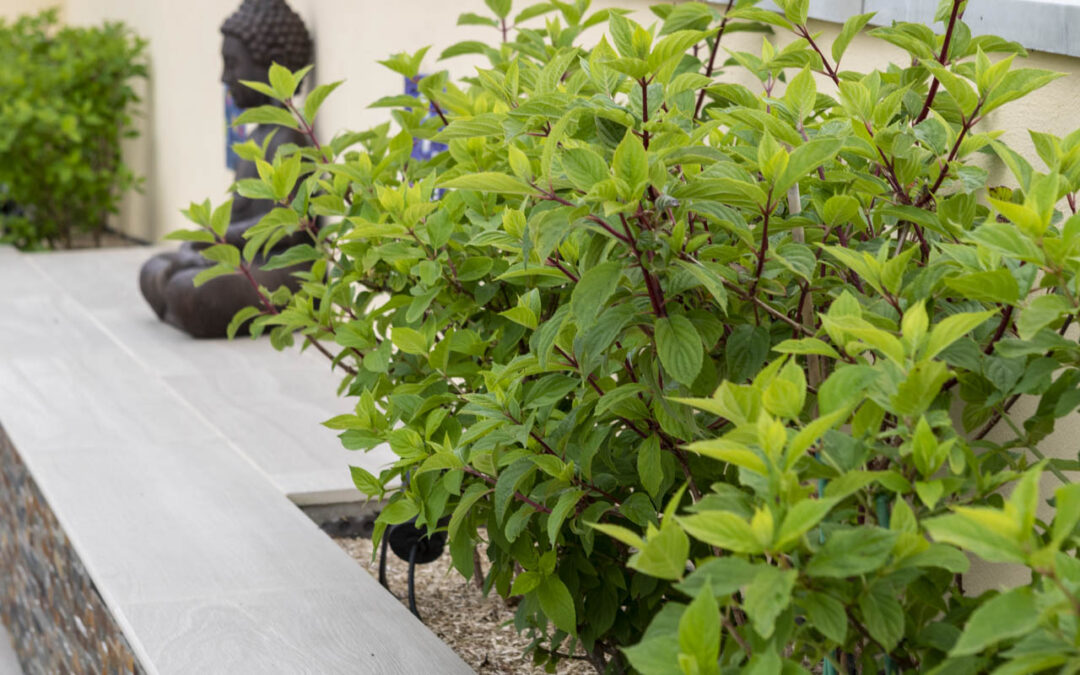 Aménagement de jardin à Besançon : intégrer des espaces éco-responsables