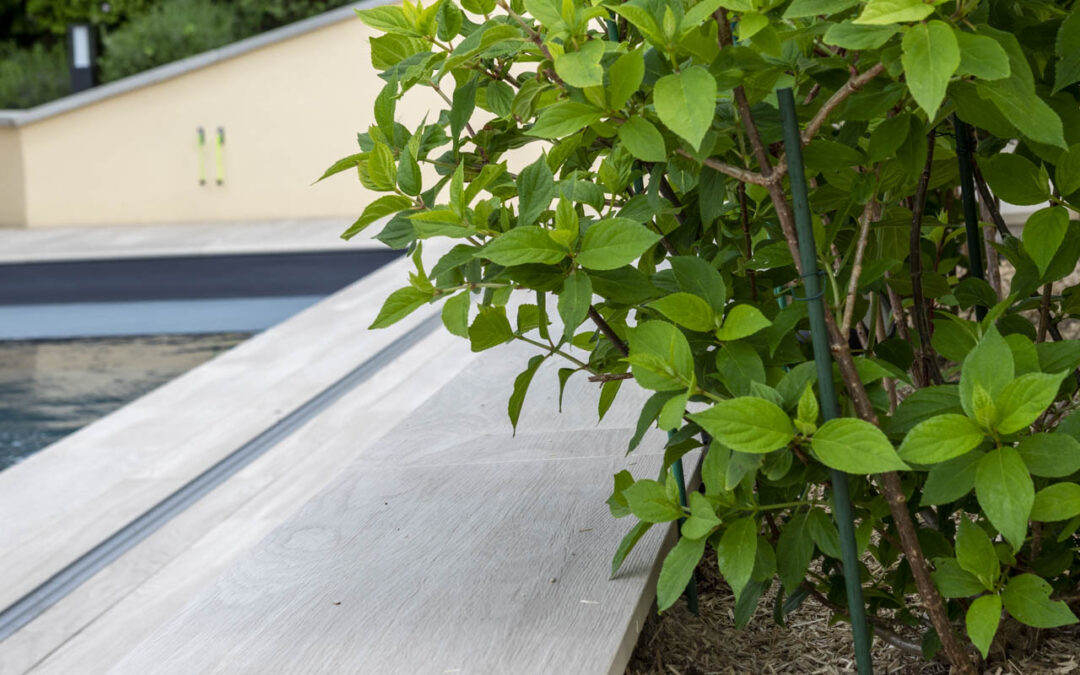 Aménagement de bassin à Besançon : oasis dans votre jardin